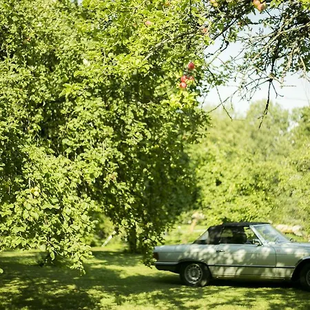 Katariina فندق *