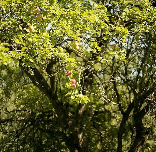 Hotel Katariina Pärnu